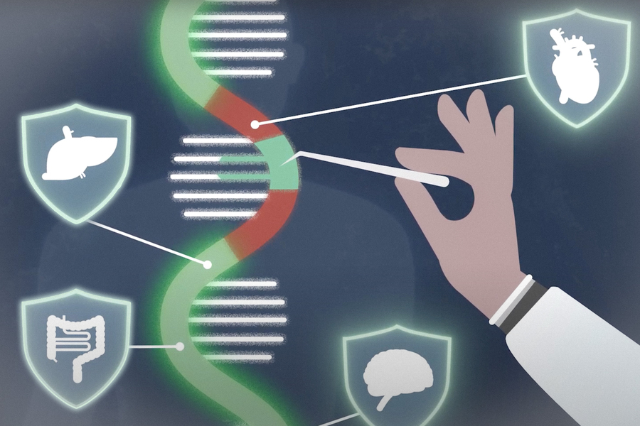An illustration of a hand in a lab coat manipulating a DNA double helix, with shield icons depicting organs — heart, liver, intestine, and brain — connected by lines on a dark background.