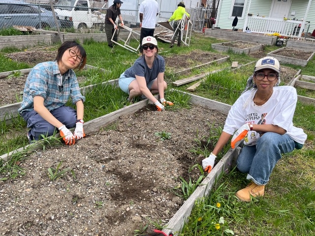 Kaidi Liu, Zaynab Eltaib, and Olivia Fiol pause their work on a raised garden bed to smile at the camera. At least five other beds are visible in the frame.