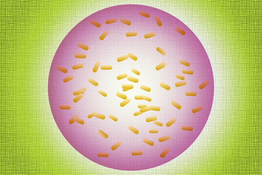 Illustration of rod-shaped bacteria contained within a glowing pink circular boundary, representing engineered microbial containment, on a green grid background.