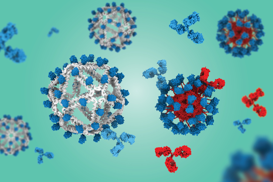Illustration of virus particles and antibodies interacting, with blue and red molecular structures floating in a green background.