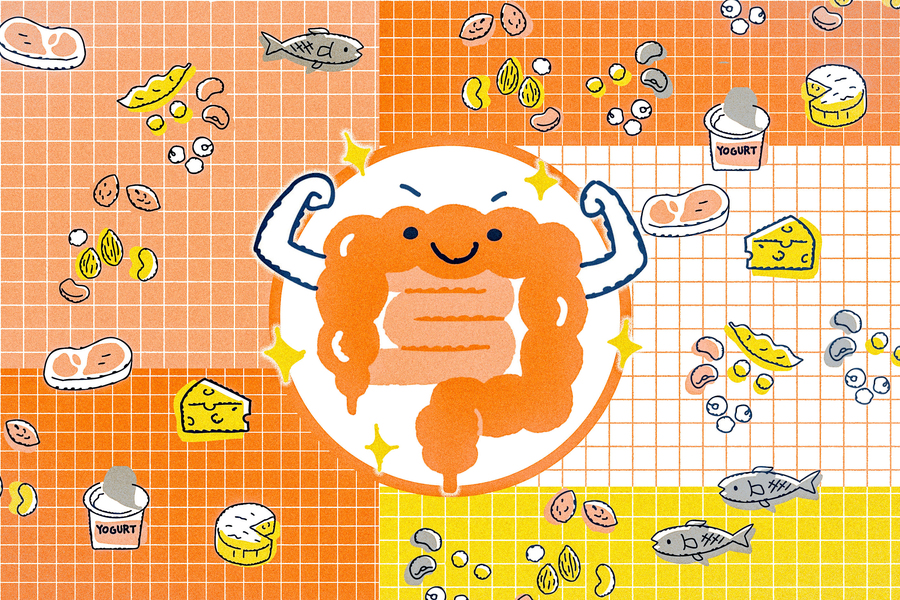 A cute illustration of an intestine smiles while surrounded by foods like cheese, meat, and nuts.