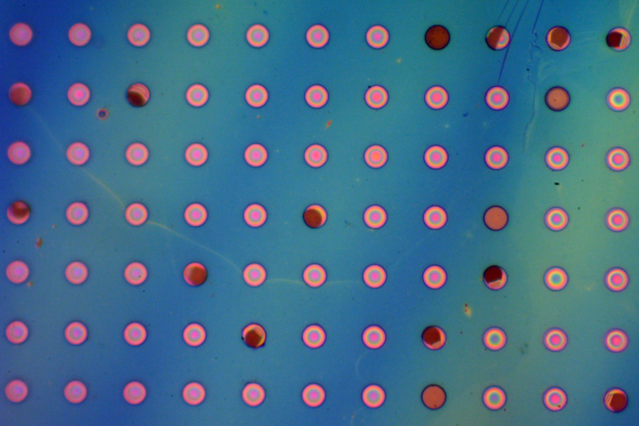 Microscope image of a patterned thin film showing a grid of circular structures with iridescent pink and red rings against a teal-blue background