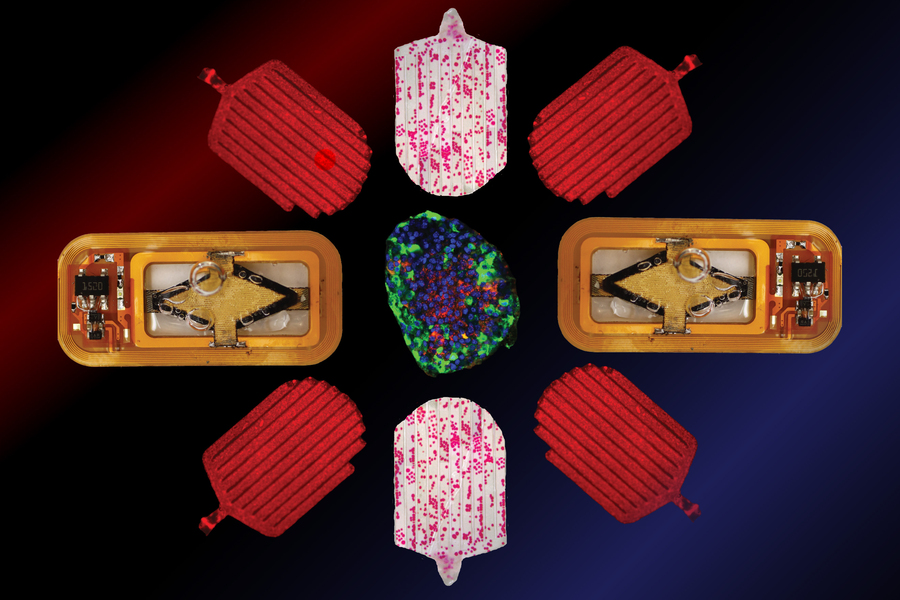 Symmetrical layout of capsule-shaped devices and microelectronic implants arranged around a colorful central sample on a dark background.