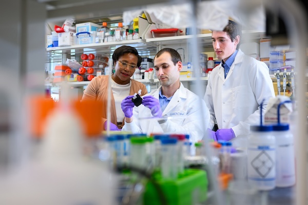 MIT researchers Paula Hammond, Ivan Pires, and Ezra Gordon wear lab coats and gloves as they examine a sample in a laboratory filled with equipment and shelves of supplies.