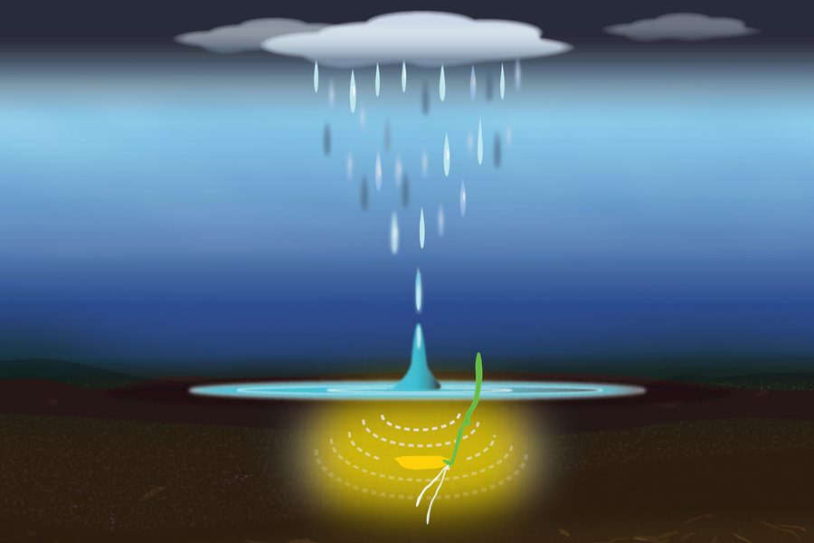 Diagram showing rainfall infiltrating soil and interacting with underground processes beneath a cloud.