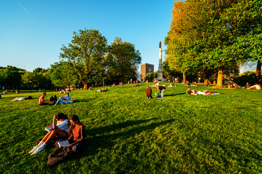 People relaxing and studying on a sunny, grassy lawn.