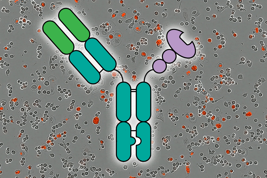 Illustration of an antibody diagram over a background of microscopic cells.