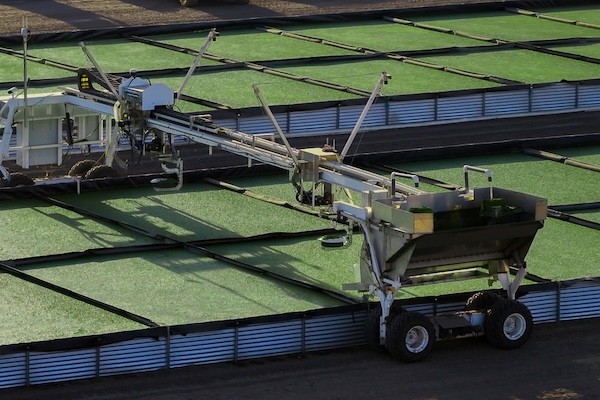 Machines and crops in a field.