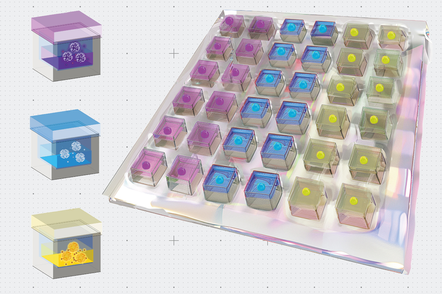 A rendering of the heart patch that shows the three different types of compounds the patch contains.
