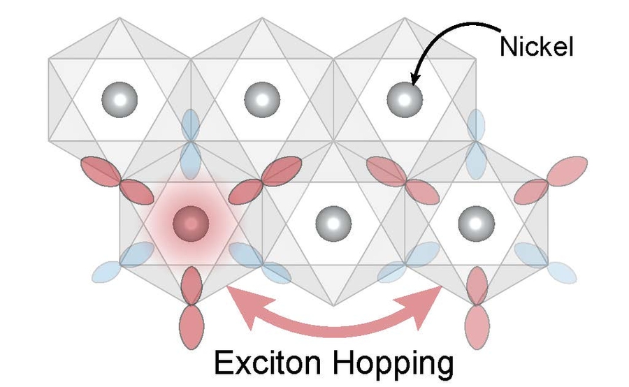 Scientific diagram of crystal lattice structure showing nickel atoms and pink shapes illustrating "Exciton Hopping" in molecular arrangement.