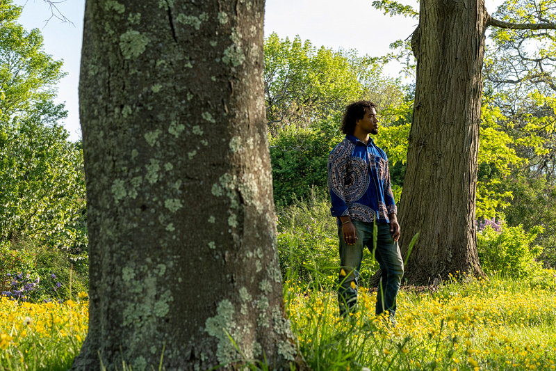 A man in a blue patterned shirt standing contemplatively among trees and wildflowers in a sunlit garden in spring.