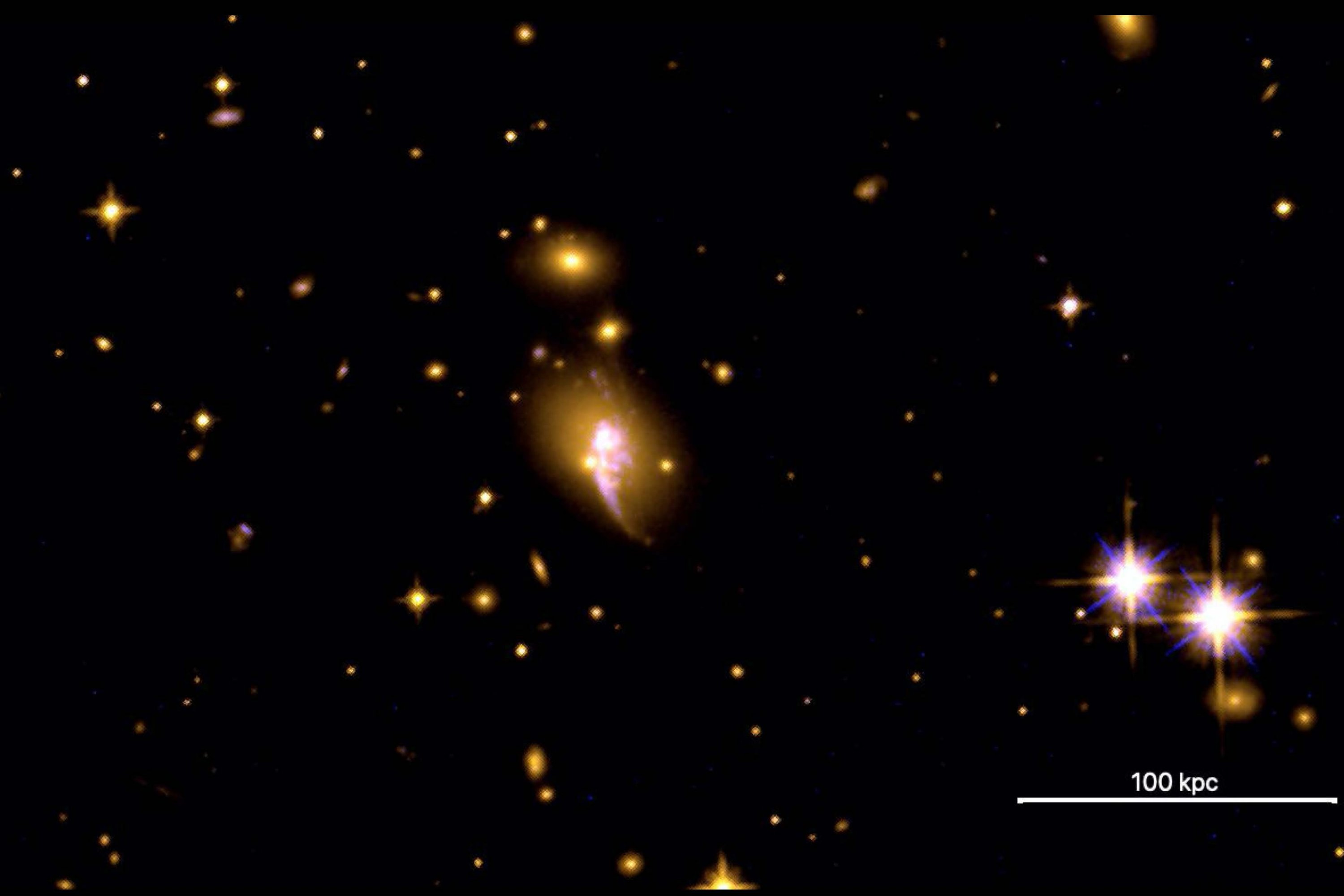 Deep space telescope image showing a galaxy cluster with interacting galaxies glowing in gold and pink against a black background, with a 100-kiloparsec scale bar