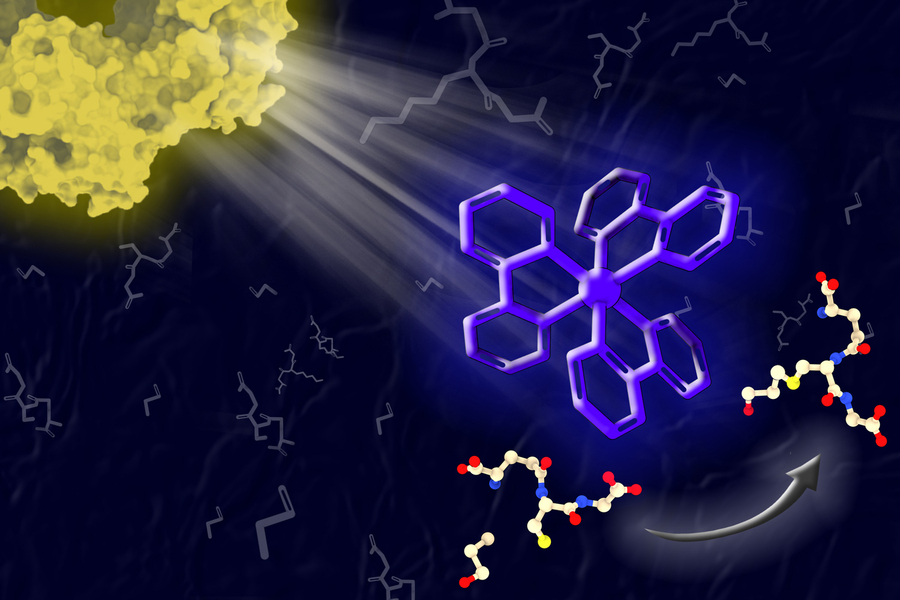Scientific illustration of a light-activated molecular catalyst, showing a glowing yellow light source illuminating a large purple polycyclic ring structure surrounded by floating amino acid chain molecules against a dark blue background