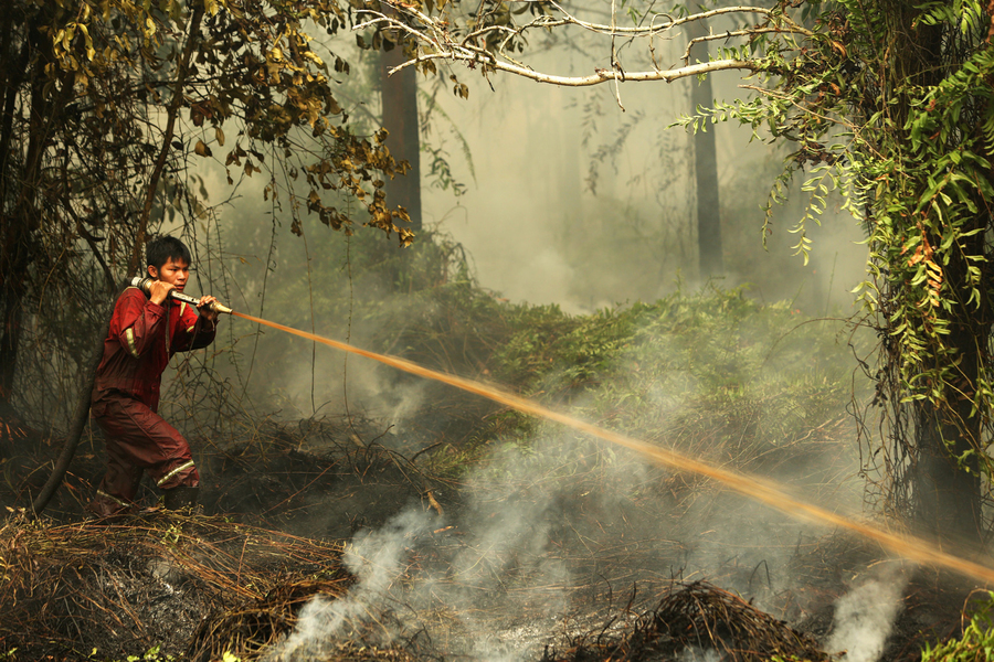 A firefighter in red gear aims a hose at smoldering ground vegetation in a smoke-filled tropical forest.